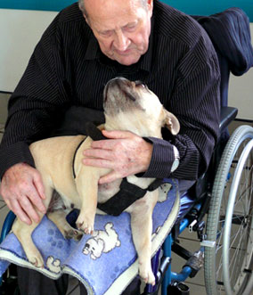 Reliance homme/animal